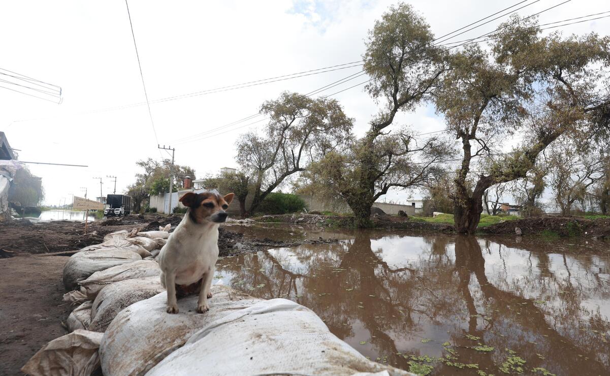 En esta zona se implementó también el Plan DNIII / Foto Alejandro Vargas