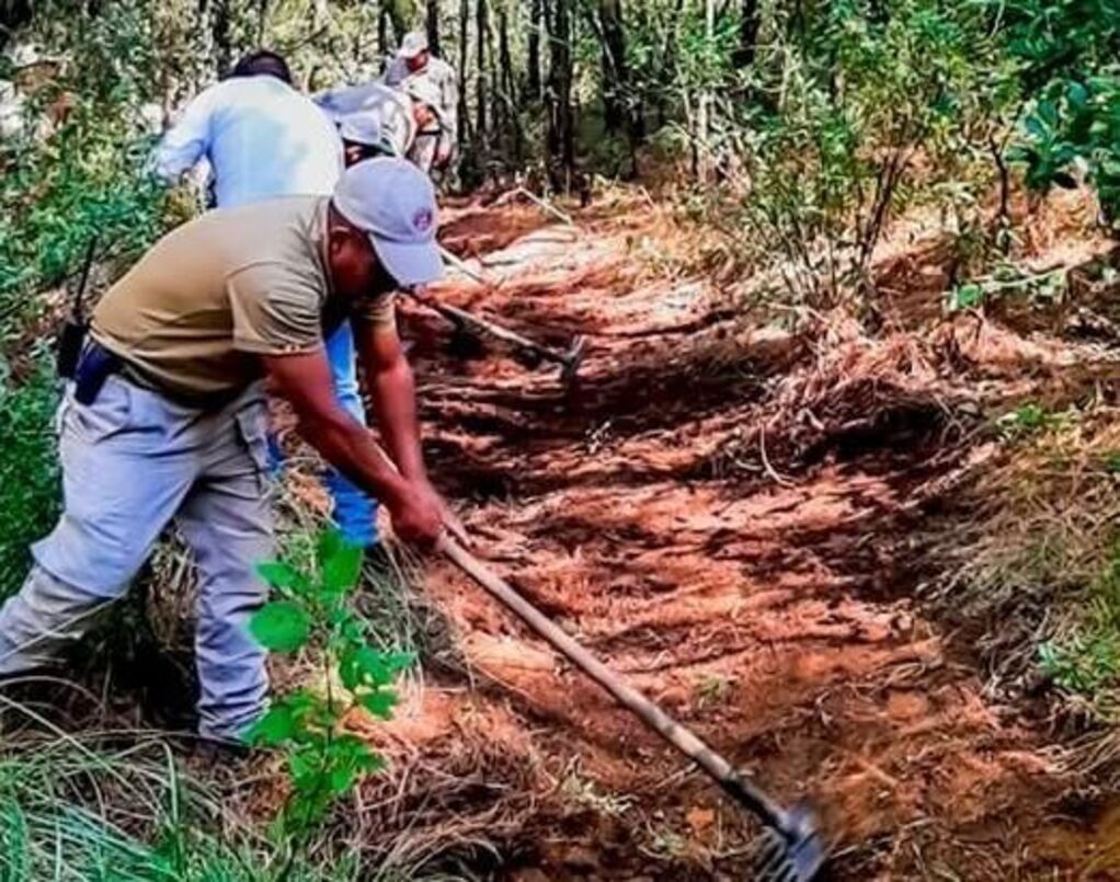 Actualmente se atienden entre siete y nueve incendios al día. Foto Especial