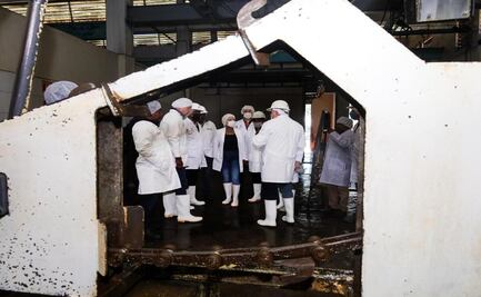 Secretaría de Salud realiza inspección en el Rastro Municipal de Toluca