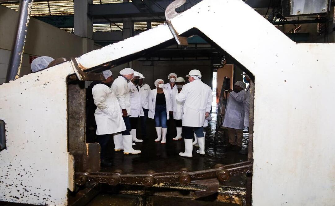 La Secretaría de Salud realizó una inspección en el Rastro Municipal de Toluca / Foto Especial