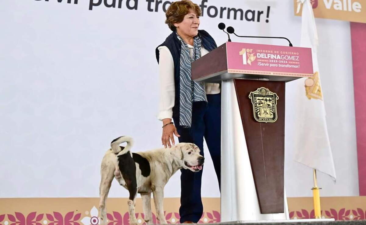 "Chalquito" atrajo la atención de la Gobernadora, quien instruyó brindarle atención inmediata. Foto: Especial.
