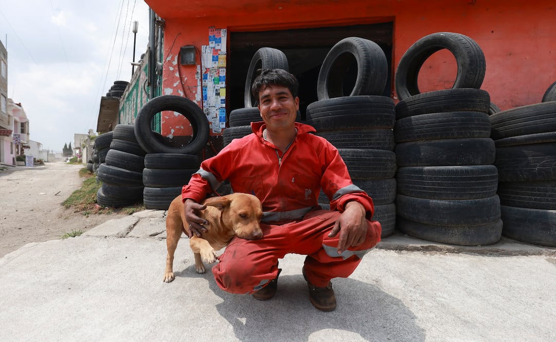 De arreglar llantas a salvar perros / Foto Alejandro Vargas
