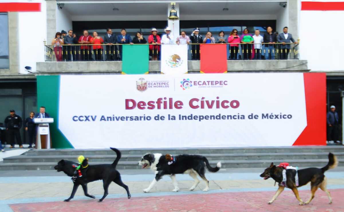 Desfilaron los perritos adoptados por la Policía Municipal / Foto Especial