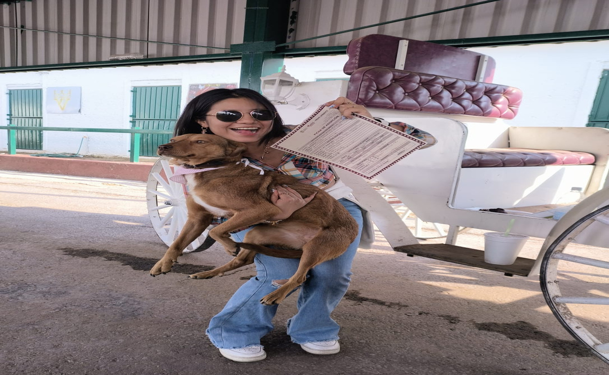Con la adopción de mascotas, también se dan orientación integral a los nuevos tutores sobre el cuidado de sus animales de compañía. Foto: Especial