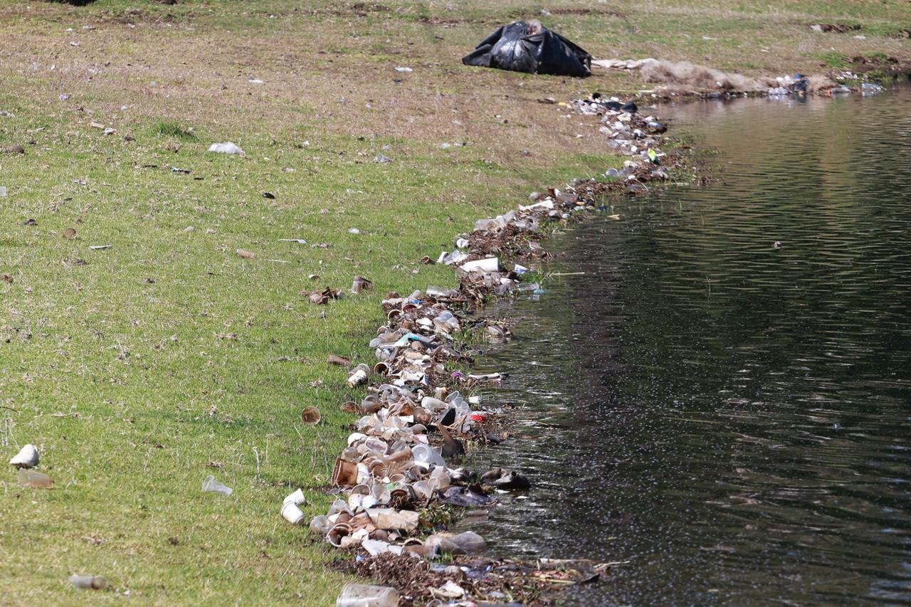 La iniciativa no solo busca recolectar residuos, sino también transformar los espacios públicos. Foto Alejandro Vargas