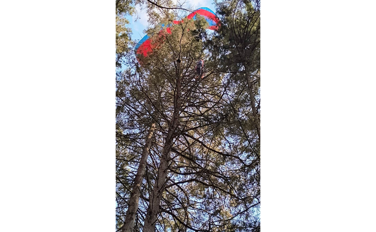 La mujer de nacionalidad extranjera quedo atorada en un árbol de aproximadamente 20 metros de altura. Foto: Especial