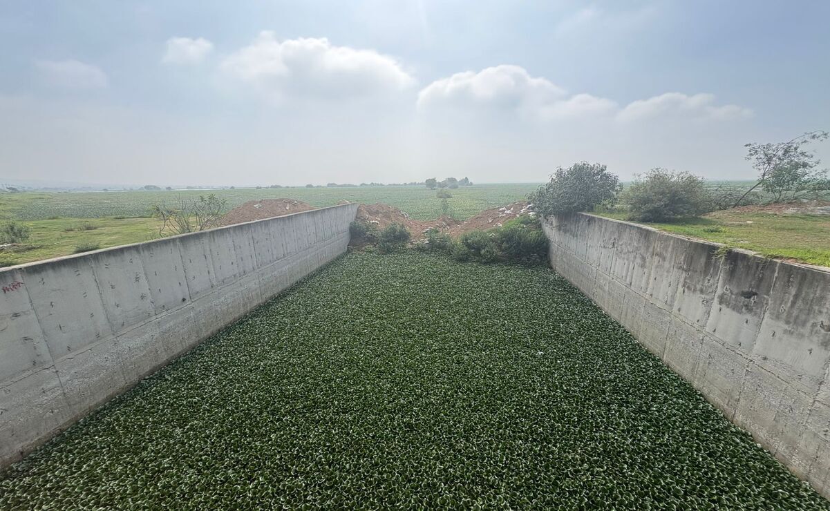 Un tapón se encontraba en la compuerta de acceso a la Laguna de Zumpango / Foto Arturo Contreras