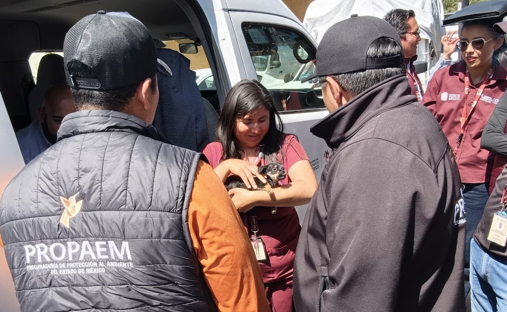 Una hembra y sus cinco cachorros quedaron bajo la protección de CEPANAF para su recuperación. Foto Especial