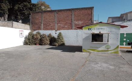 Inicia programa de reciclaje de árboles de Navidad en Toluca