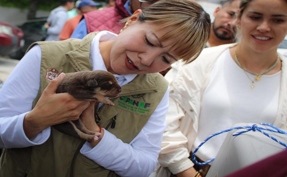 Recuerda que nuestras mascotas no son accesorios: también sienten frío, miedo y estrés. Foto; Especial