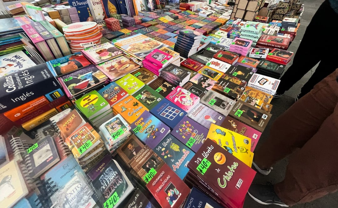 Miles de historias te esperan en la Feria del Libro de Atlacomulco. Foto: Michelle Sánchez