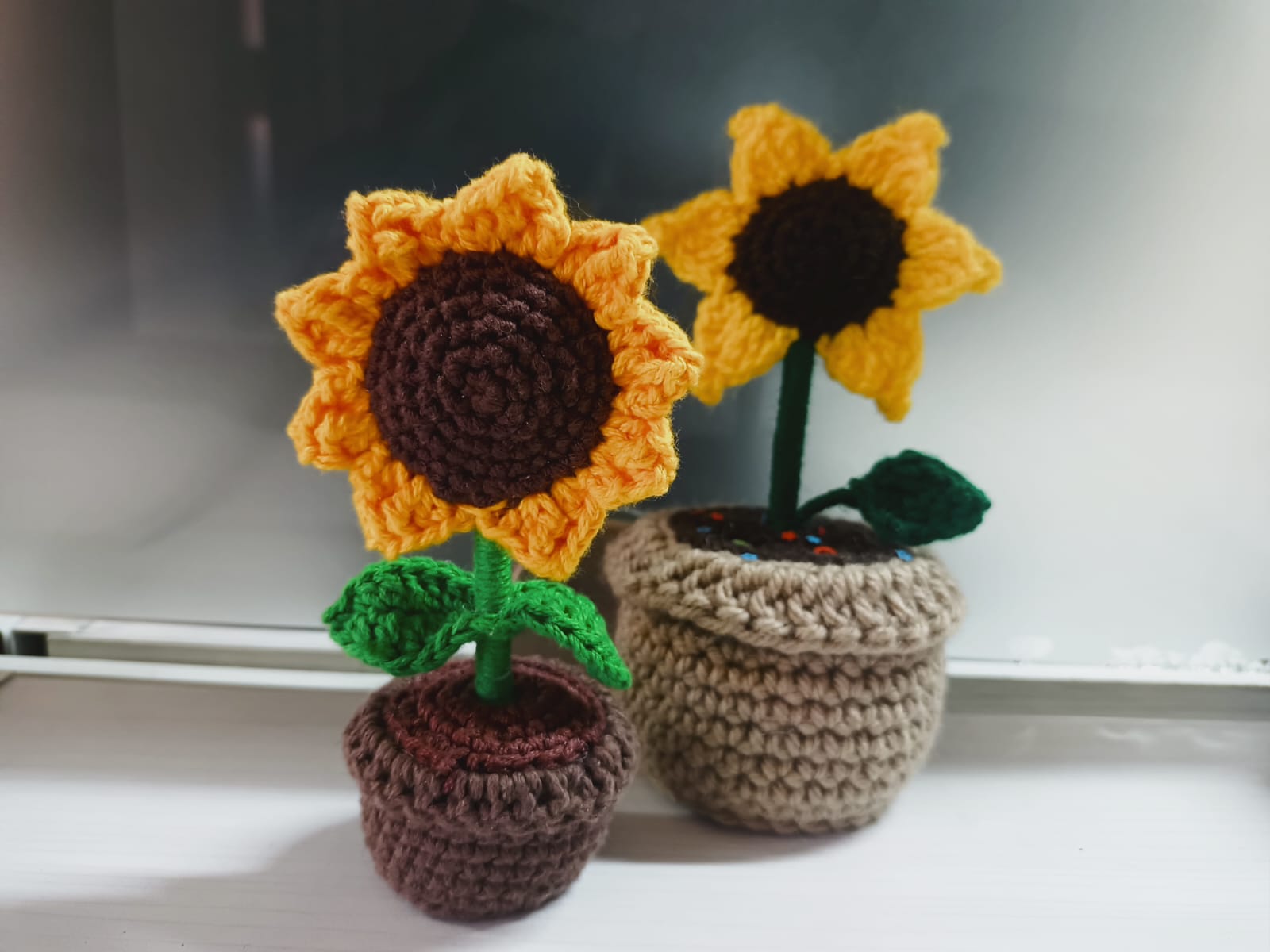 La tradición de regalar flores amarillas es porque representan la esperanza, la alegría y la luz. Foto especial