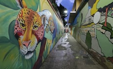 Ecatepec se llena de murales que dan luz, arte y color a las comunidades