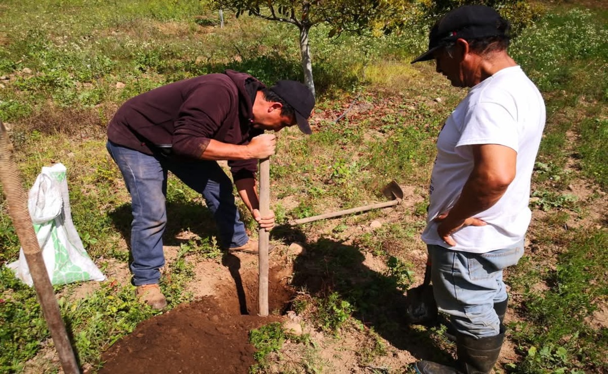 El cambio climático es el principal factor detrás de las afectaciones de los cultivos mexiquenses. Foto: Especial