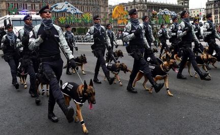 Perros rescatistas: Recordamos a los héroes de México