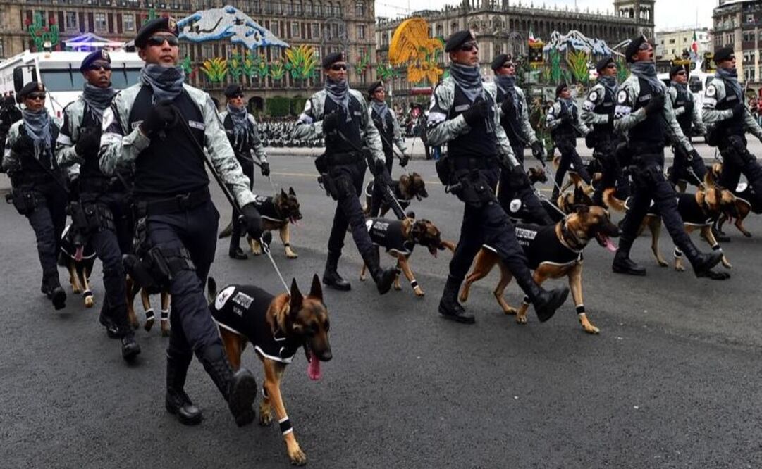 En México, hay alrededor de 300 binomios caninos trabajando en las instituciones de seguridad y rescate. Foto: Especial.