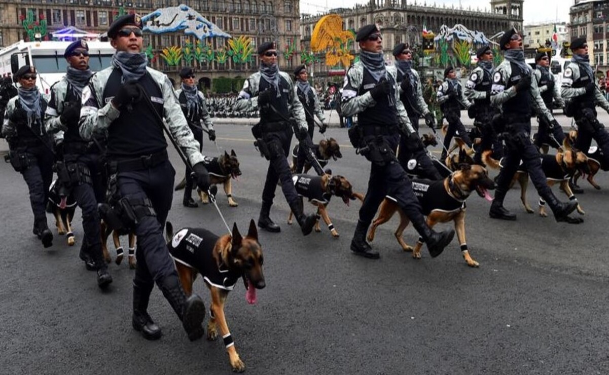 Perros rescatistas: Recordamos a los héroes de México