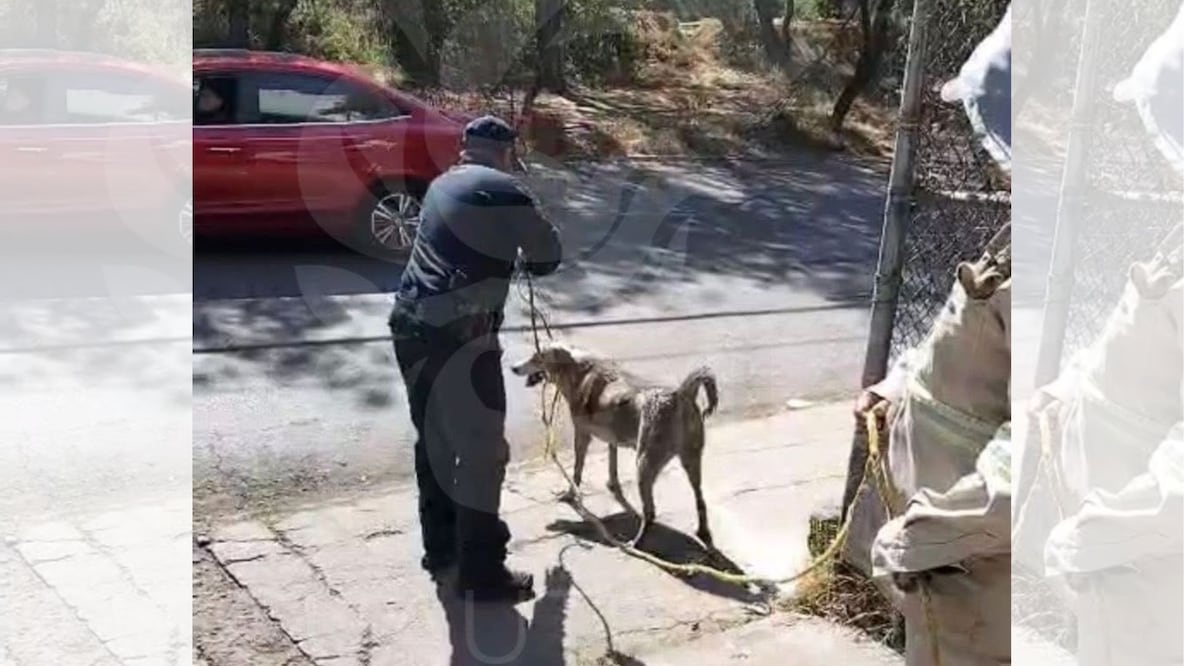 Vecinos de la colonia Infonavit Norte alertaron a las autoridades tras percatarse de los ladridos provenientes del registro. Foto Especial