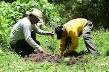 Restauración de ríos y riberas en el Estado de México: Limpian 17 kilómetros de cauces