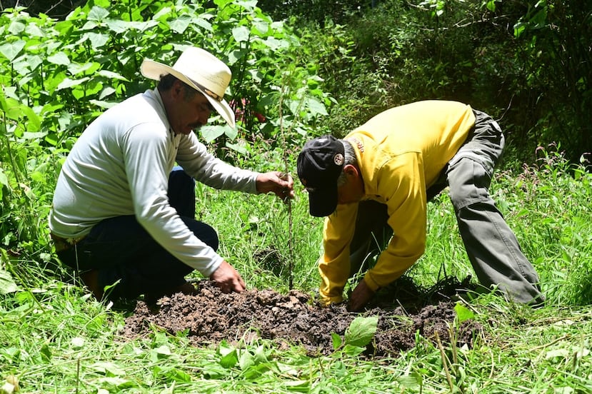 Restauración de ríos y riberas en el Estado de México: Limpian 17 kilómetros de cauces