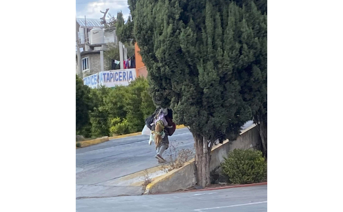 Indignación y preocupación en Atlacomulco ante el maltrato animal y la situación de una mujer indigente. Foto: Especial