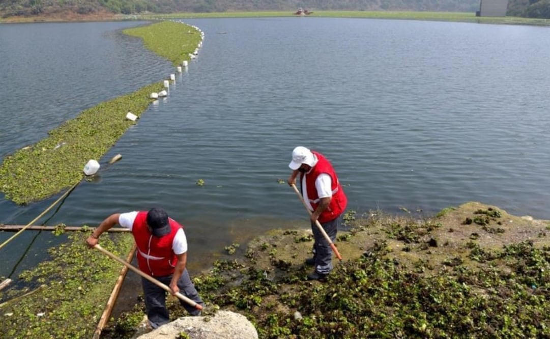 El proyecto integral de saneamiento del Lago de Guadalupe permitirá dotar al municipio de un volumen equivalente al de 15 pozos de agua. Foto Especial
