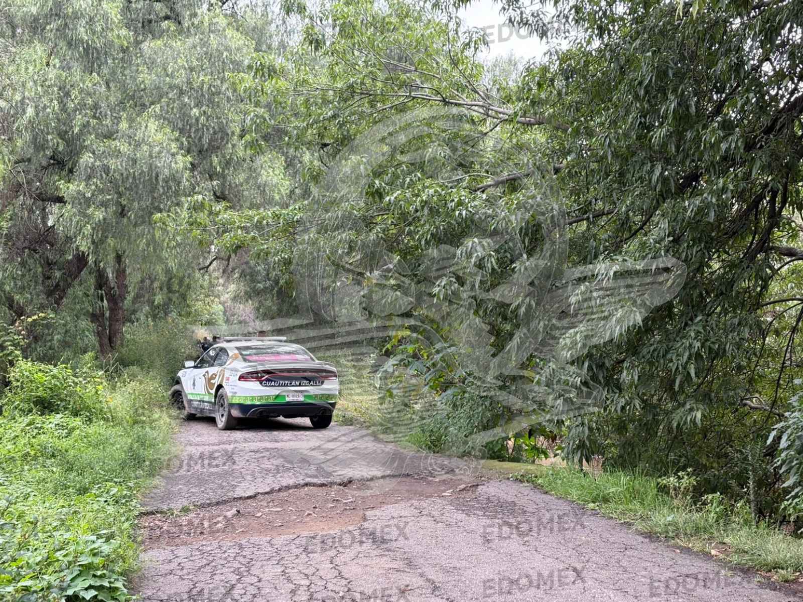 Movilización en Cuautitlán Izcalli por hallazgo de persona sin vida en el río