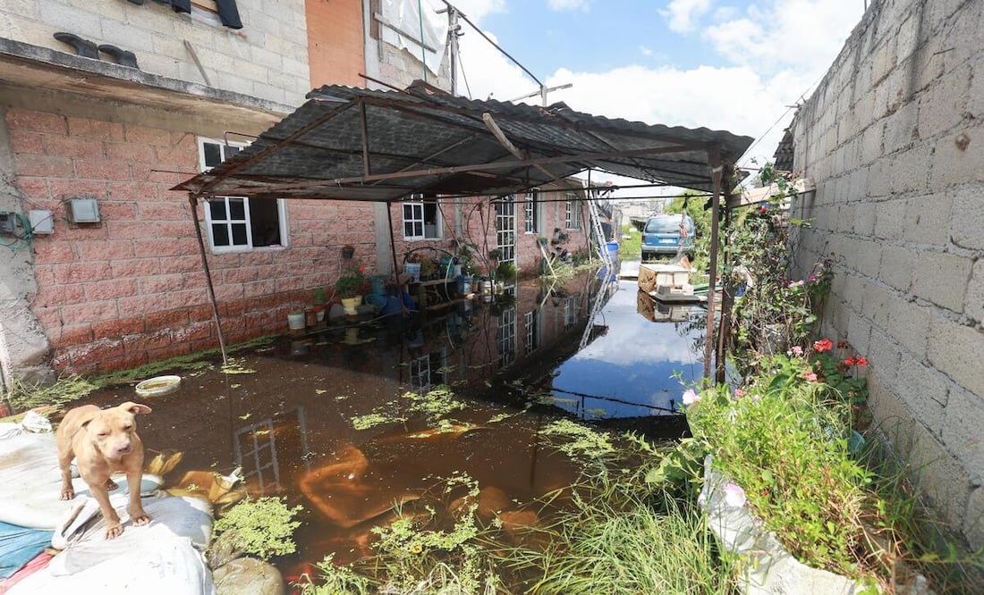 Aproximadamente mil 700 familias, que de acuerdo con su testimonio han perdido desde aparatos electrodomésticos hasta ropa y bienes / Foto Alejandro Vargas