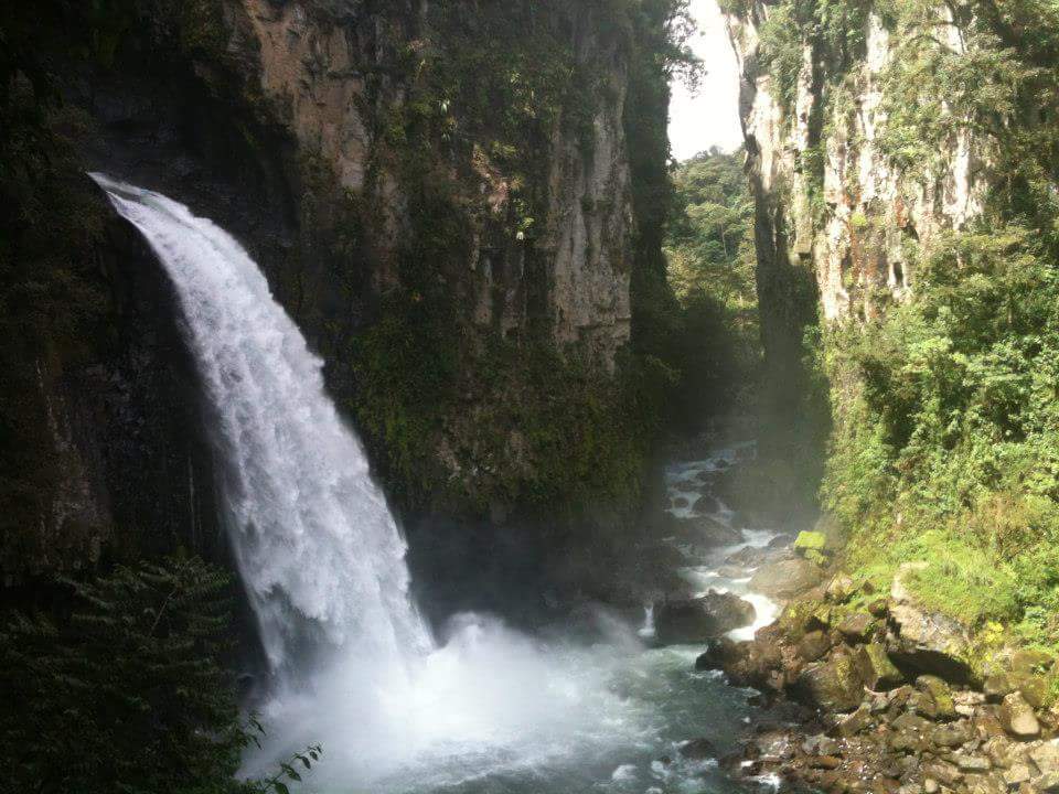 La Cascada de Texolo es ideal para pasar un día en contacto con la naturaleza, disfrutar de un picnic o tomar un baño en las aguas cercanas. Además, el área cuenta con miradores que ofrecen vistas espectaculares del paisaje. Foto Especial