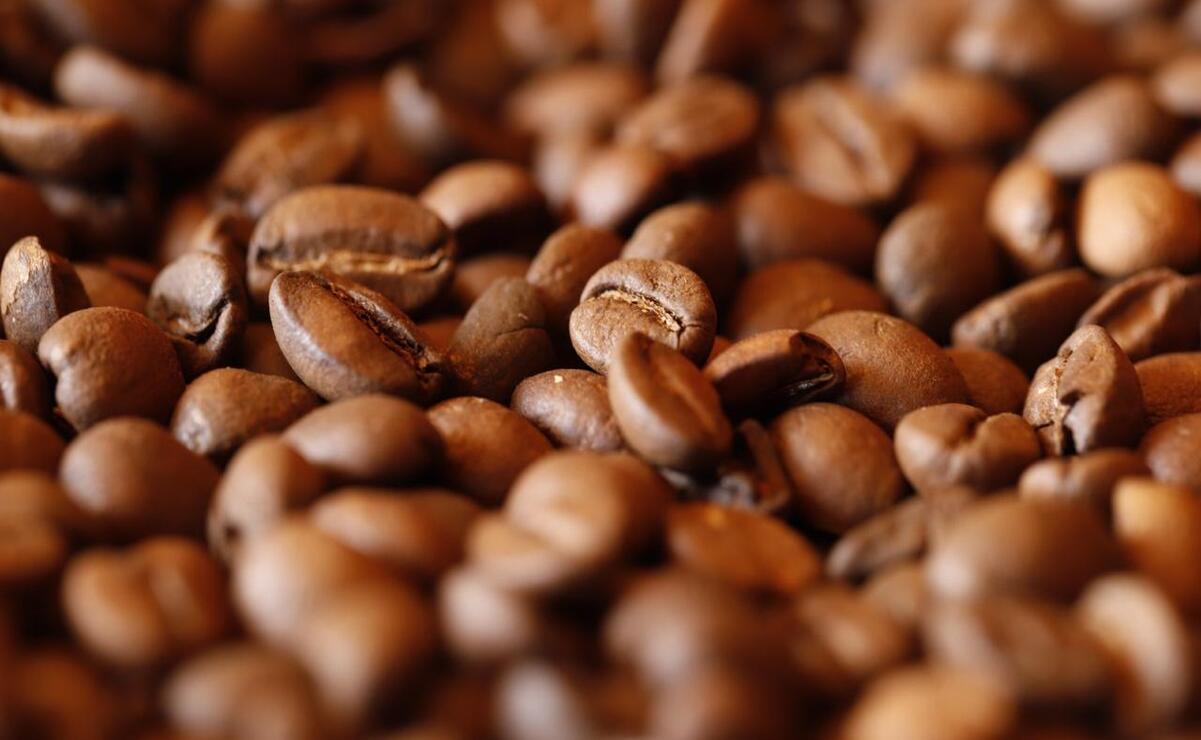 Tenancingo también tiene zonas a más de 2 mil metros sobre el nivel del mar donde se da café de óptima calidad / Foto Especial
