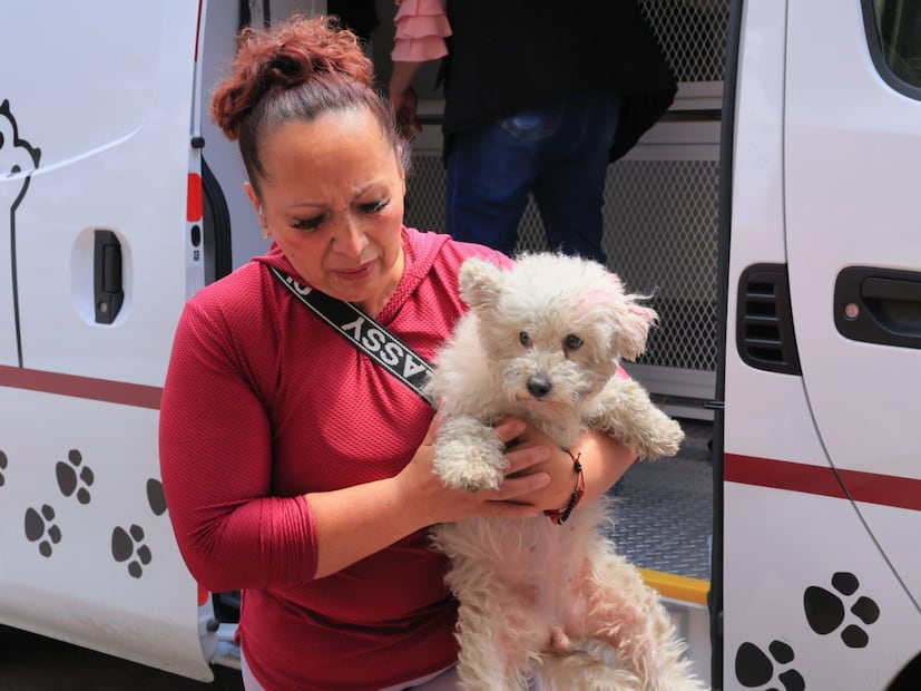 Las autoridades ministeriales también indagarán la procedencia de los animales que se encontraban en ese sitio. Foto: especial