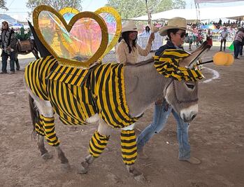 Celebra Otumba la 61ª Feria Internacional del Burro con desfile y concurso de rebuznos