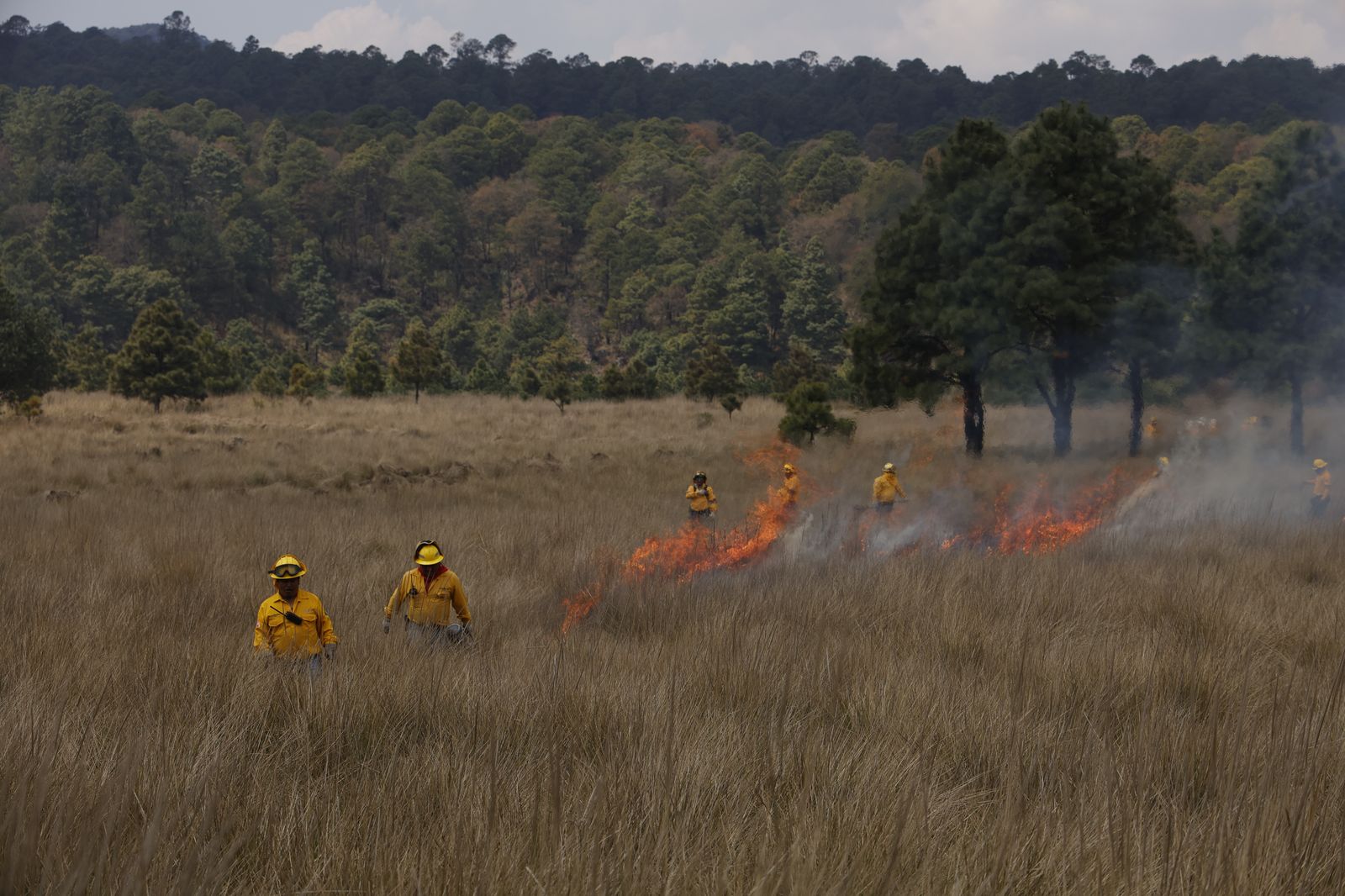 Cada hectárea incendiada cuesta más de un millón de pesos en combate y restauración, sin contar pérdidas humanas. Foto Arturo Hernández
