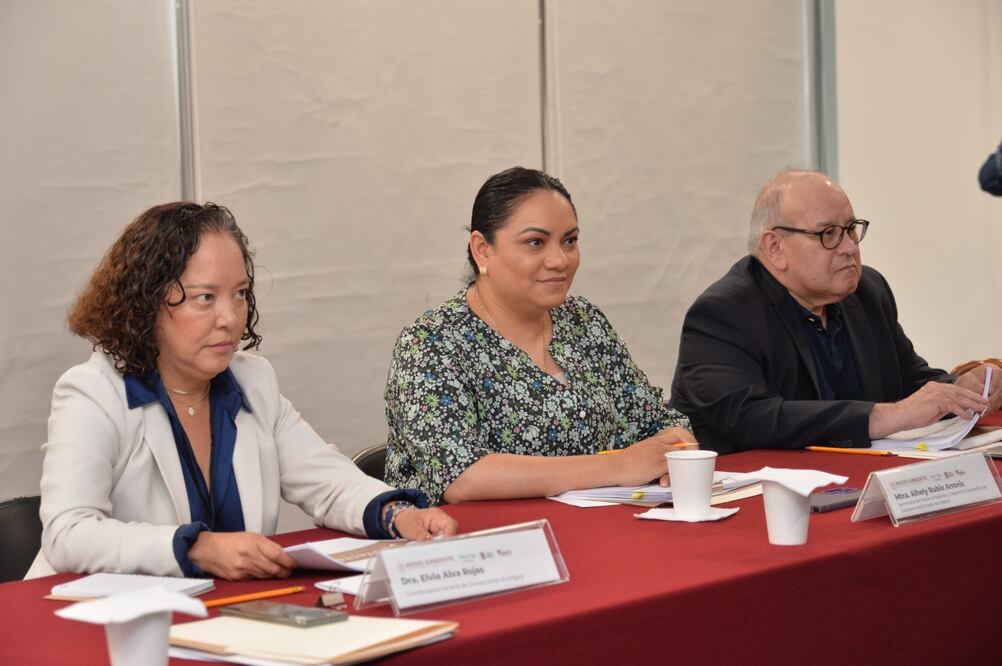 Alhely Rubio Arronis, titular de la Secretaría del Medio Ambiente y Desarrollo Sostenible (SMAyDS) FOTO: Especial