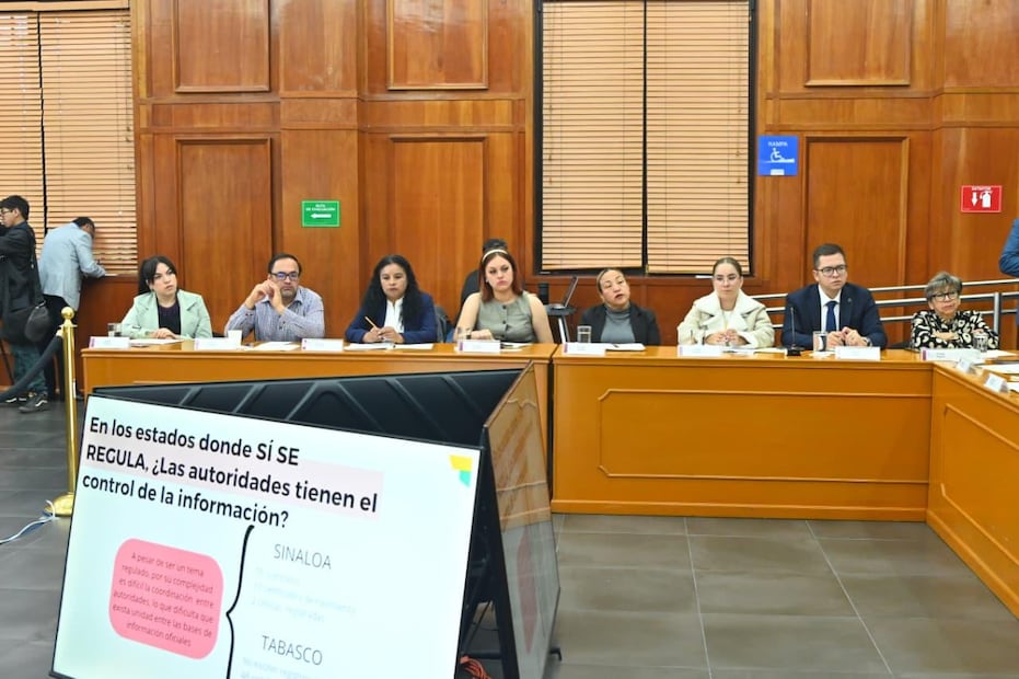 La diputada Johanna Felipe Torres advirtió que la reproducción humana no debe transformarse en una mercancía ni en explotación. Foto Especial