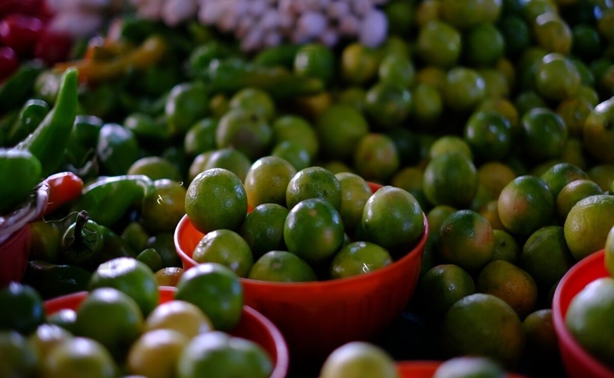En las últimas semanas, el precio del limón oscilan entre los 20 y 40 pesos por kilo. Foto: Especial