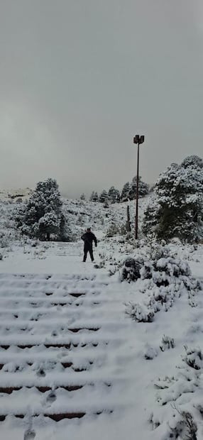 También orientan a los visitantes y vigilan las condiciones meteorológicas. Foto. Especial