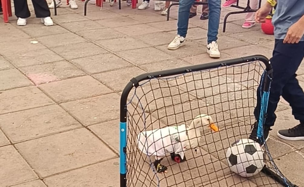 Karla Ivette Gómez anunció que acudirá al IMPI para registrar de forma estrictamente personal la imagen del Pato Merlín. Foto Especial