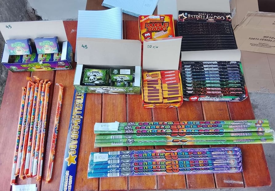 as mascotas sufren estrés severo por el ruido; se recomienda el uso de vendajes antiestrés y alejarlos de ventanas durante las detonaciones. Foto Especial