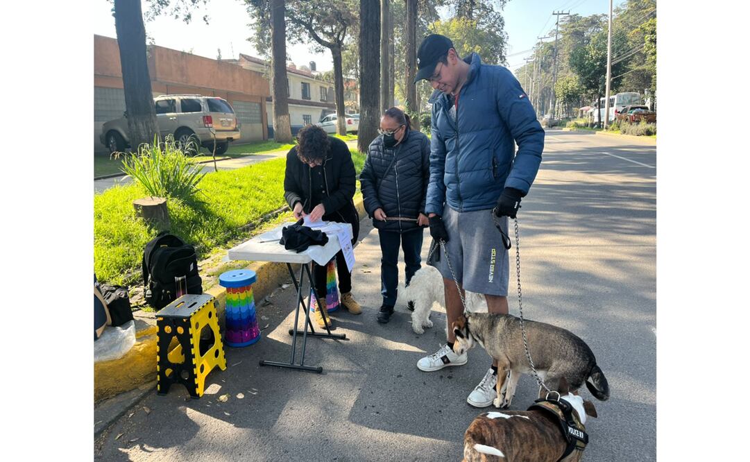 La Caravanas por el Bienestar Animal se llevó a cabo sobre Paseo Colón en el municipio de Toluca, donde cientos de personas se dieron cita con su peluditos. Foto: Karen Aldama