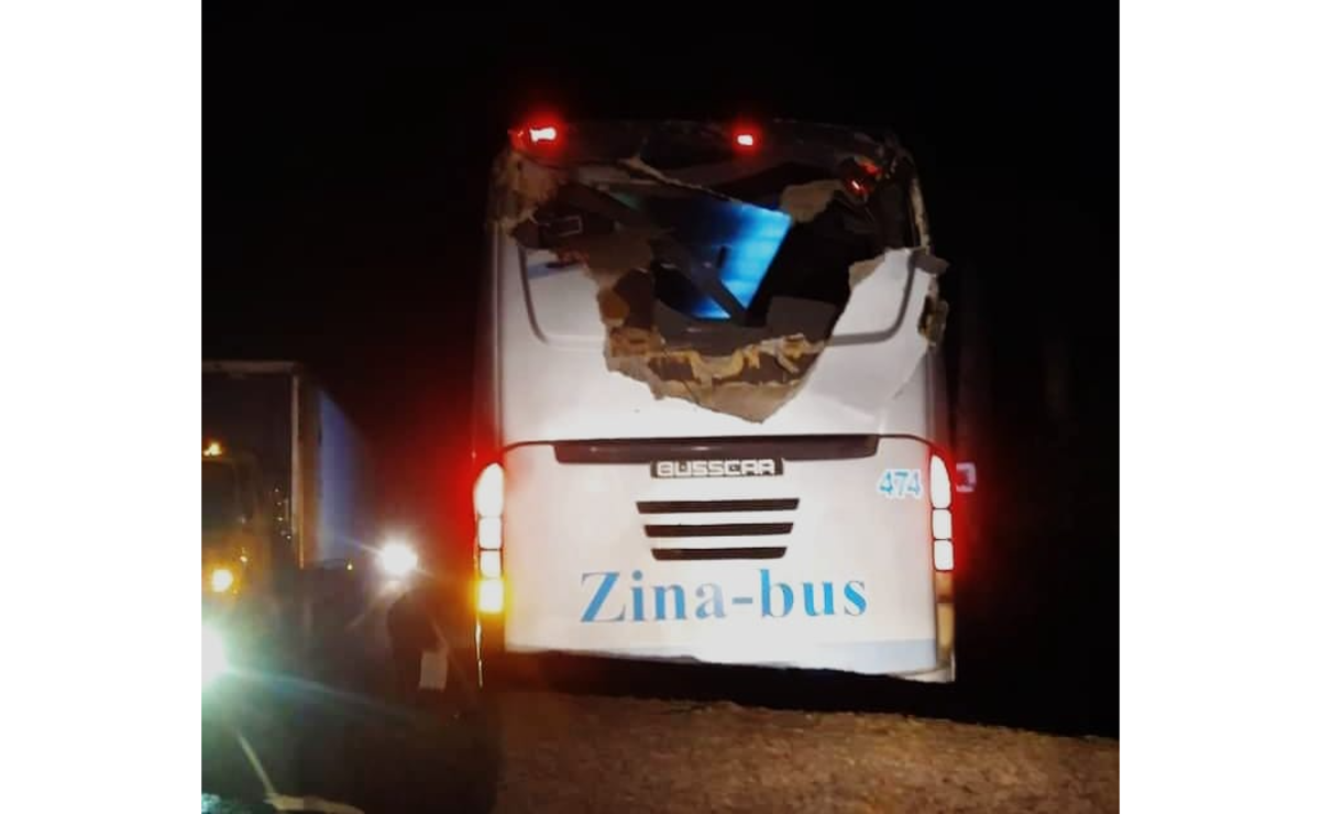 Un árbol se desplomo encima de un autobús de la línea Zina-bus con el número económico 474.  Foto: Especial