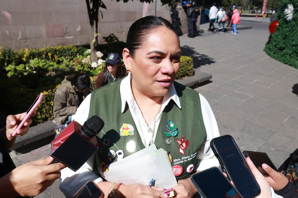 Alhely Rubio Arronis, secretaria de Medio Ambiente, anunció que seis estados compartirán la misma política de calidad del aire. Foto Alejandro Vargas / El Universal