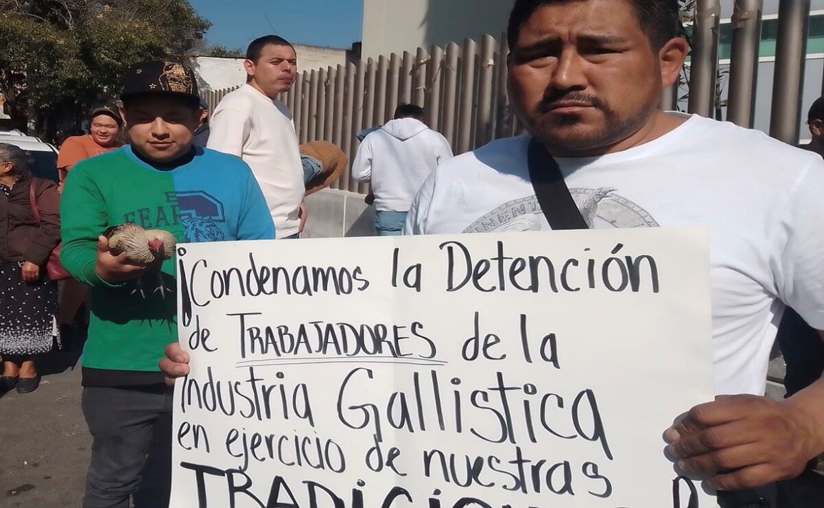 Piden la libertad de 14 galleros / Foto Especial