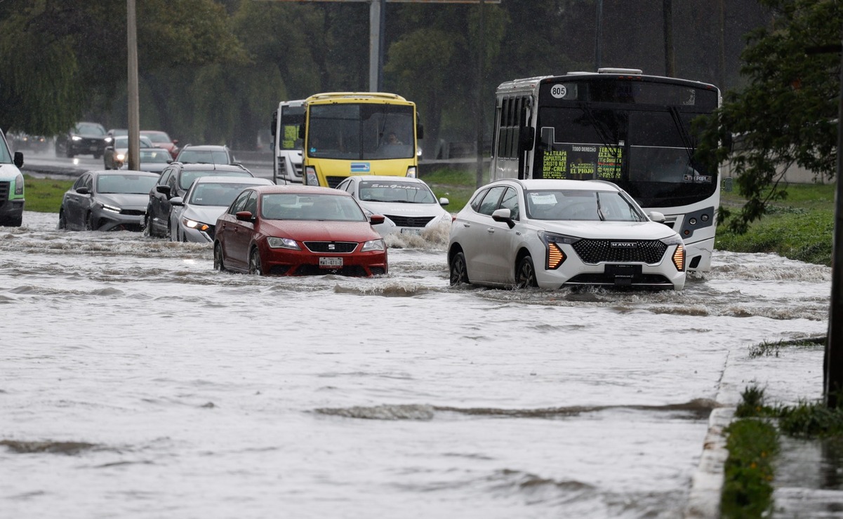 Más allá del daño material, la falta de seguro puede traducirse en graves pérdidas económicas y problemas legales para los automovilistas / Foto: Arturo Hernández