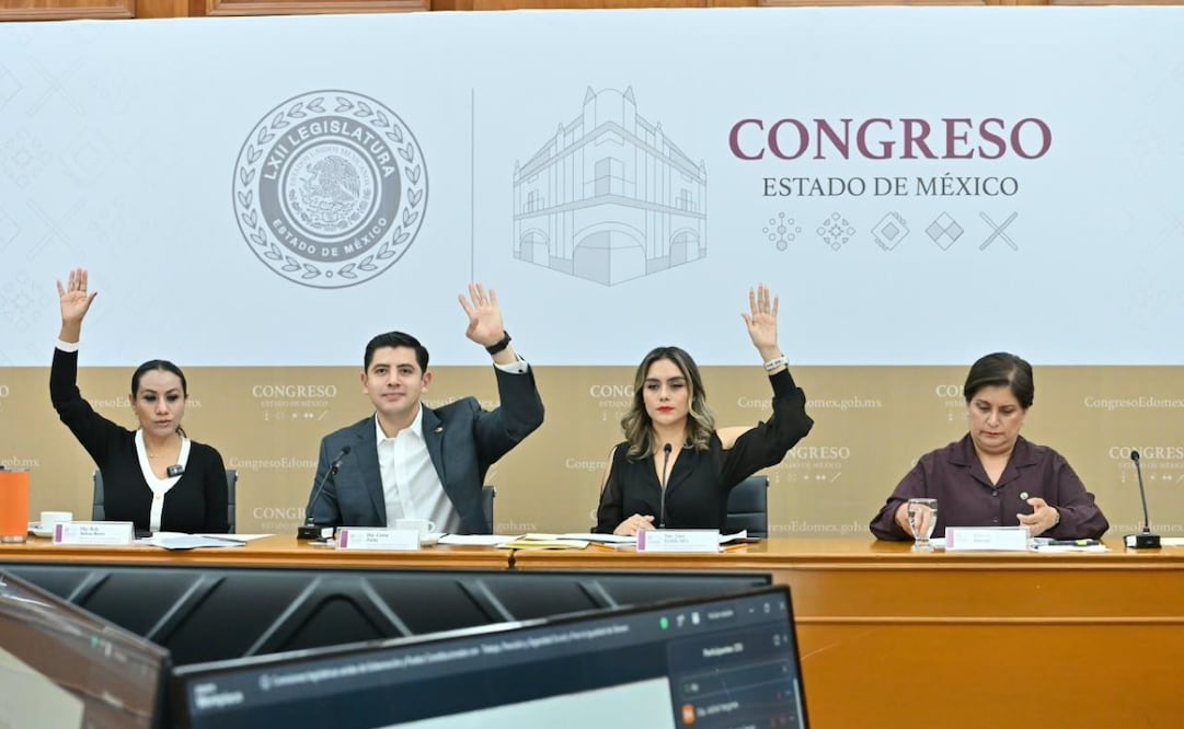 La propuesta busca visibilizar el trabajo doméstico y de cuidados no remunerado que recae principalmente en las mujeres mexiquenses. Foto Especial