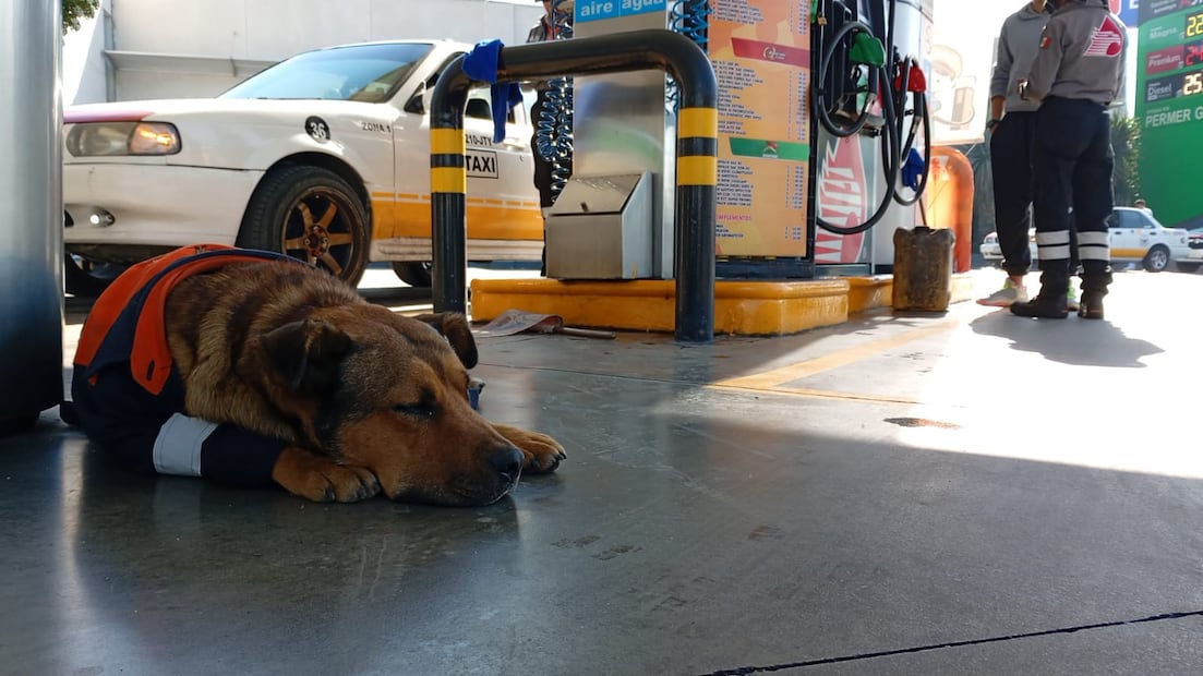 El empleado estrella se da el tiempo de tomar un descanso entre las bombas a donde arriban cientos de automovilistas. Foto. Claudia Rodríguez