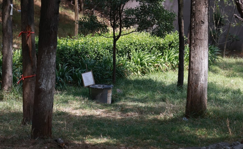 Ambientalistas exigen la instalación de cámaras de seguridad y patrullaje con drones para frenar la violencia contra los animales en el centro de Toluca. Foto Alejandro Vargas / El Universal
