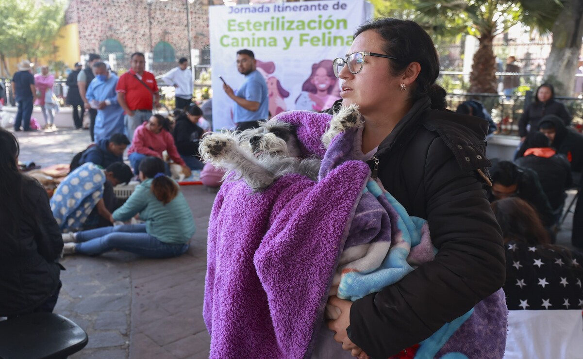 Esterilizan gatos y perros en San Mateo Atenco