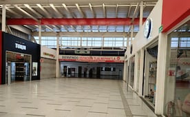 ¡Ahorro vigente! Tren Felipe Ángeles mantiene tarifas promocionales a tres meses de su estreno
