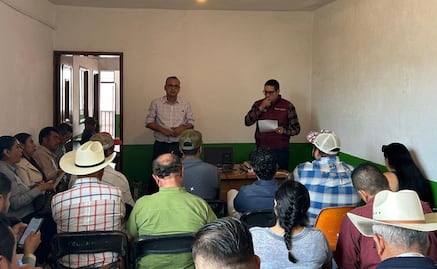 Sequía afecta 700 hectáreas de cultivos de maíz en el sur del Edomex